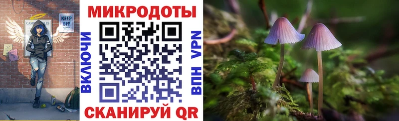 где найти наркотики  Хвалынск  Галлюциногенные грибы прущие грибы 